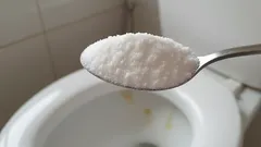Puneți doar o lingură din acest remediu casnic în toaletă peste noapte — și uitați de miros și de depuneri